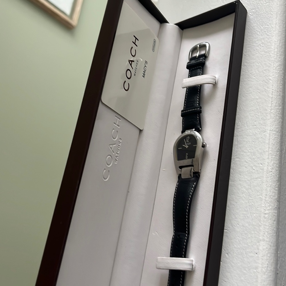 Gorgeous Ladies Horseshoe watch model 0208 Silver/black face